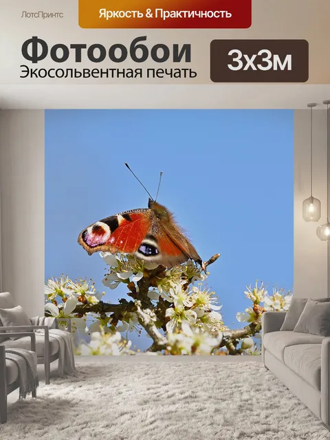 Фотообои Бабочка