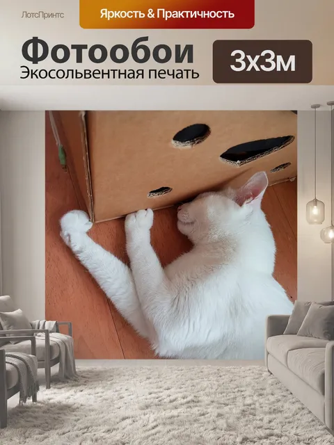 Фотообои Кошка