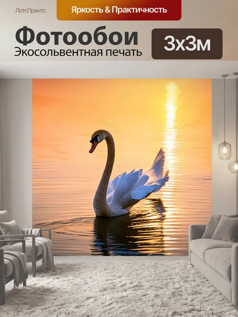 Фотообои лебедь в спортивной форме