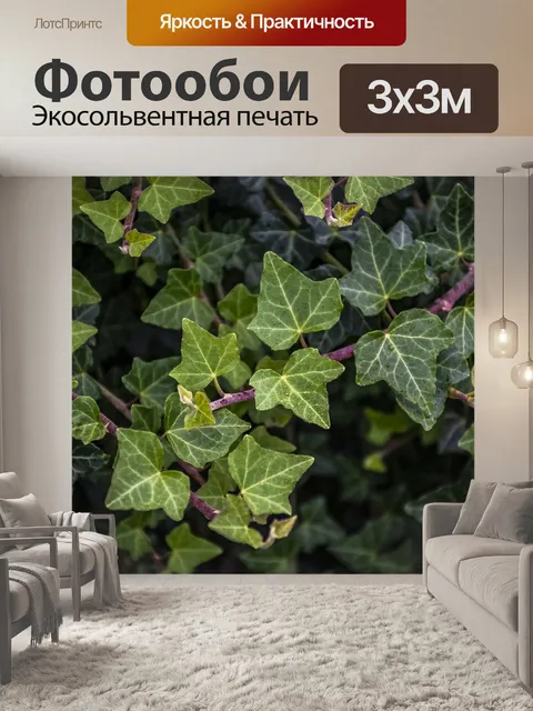 Фотообои Листья
