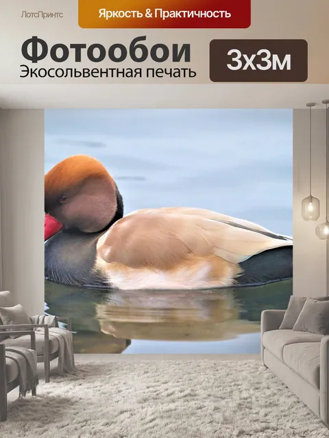 Фотообои Птица