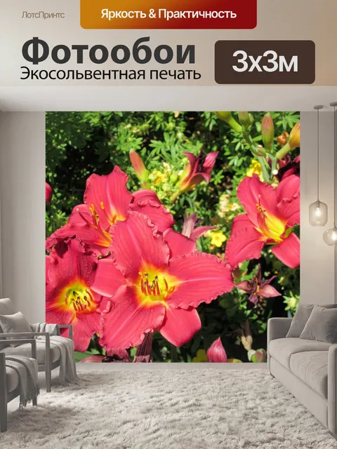 Фотообои Красивые цветы 2