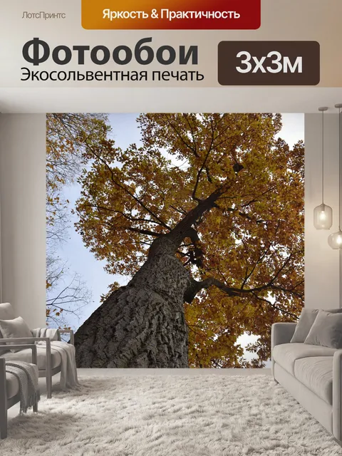 Фотообои Дерево