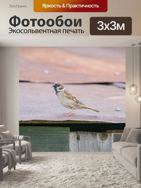 Фотообои Воробей