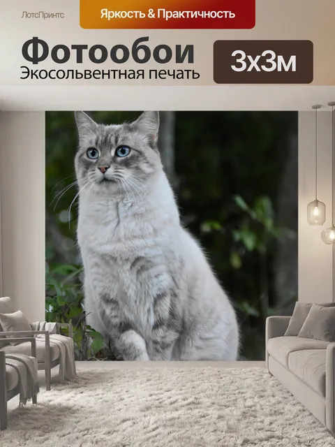 Фотообои Кошка