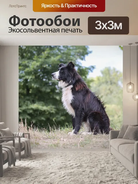 Фотообои Собака