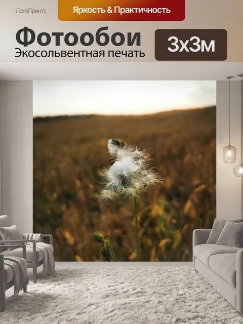 Фотообои Одуванчики