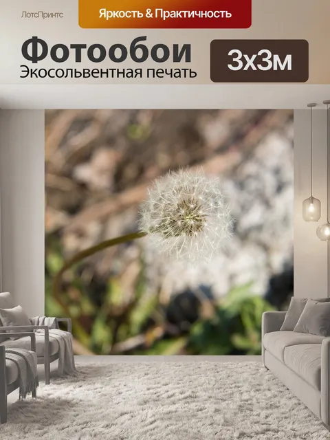 Фотообои Одуванчик