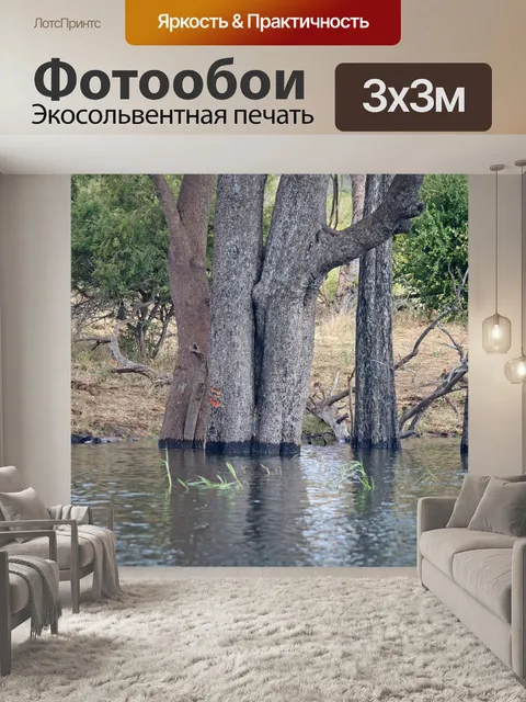 Фотообои деревья, стоящие внутри залитого шара