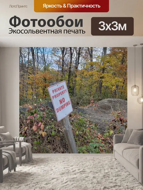 Фотообои В лесу нет дампов