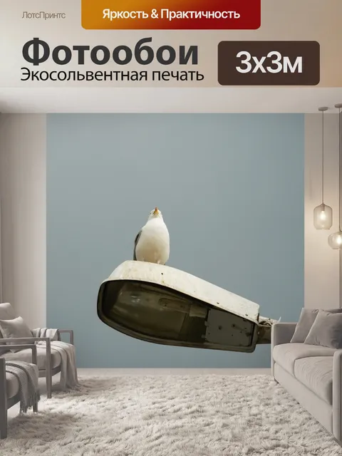 Фотообои Птица на фонарном столбе