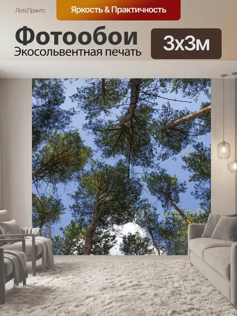 Фотообои лес