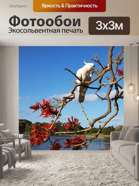Фотообои Какаду
