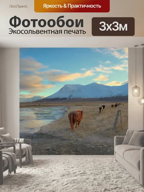 Фотообои Лошади