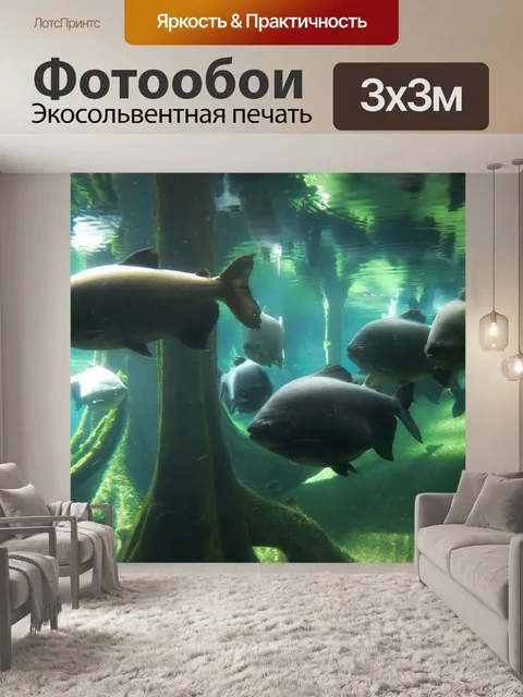 Фотообои Рыбы