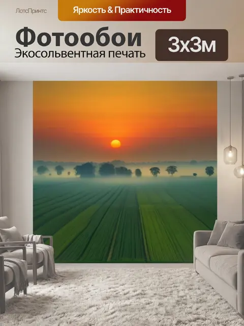 Фотообои птицы на полях под светом рассвета