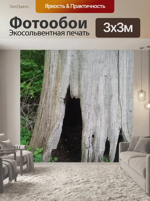 Фотообои Пещера деревьев