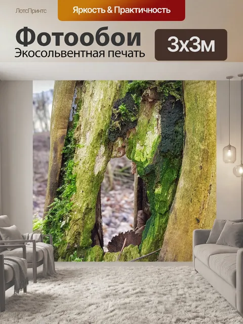 Фотообои Дерево
