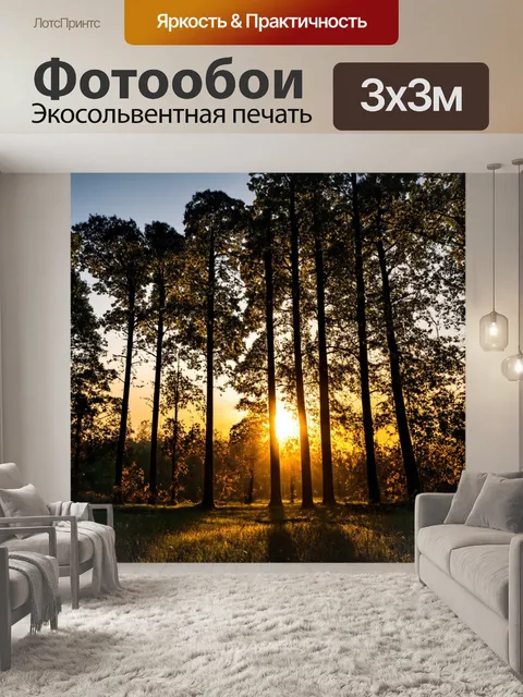 Фотообои закат на фоне высоких деревьев