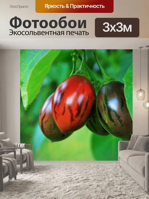 Фотообои дерево томатный фрукты