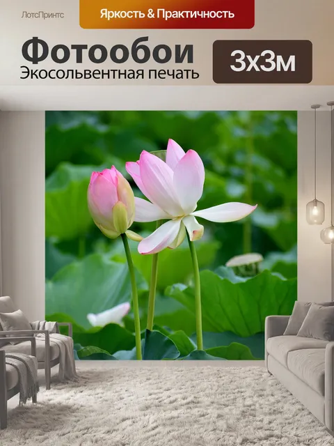 Фотообои Цветы