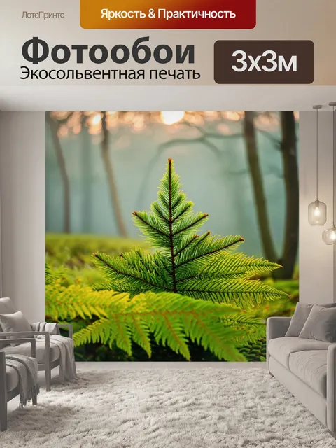 Фотообои весна, утренние пробуждения, сосны и папоротники, нежный свет, звуки птиц, легкий туман, наслаждение…