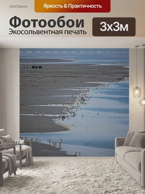 Фотообои Фламинго