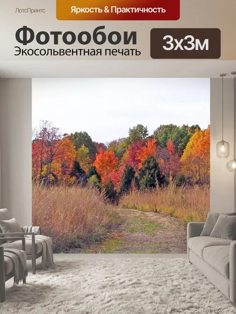 Фотообои Путь в осень поле