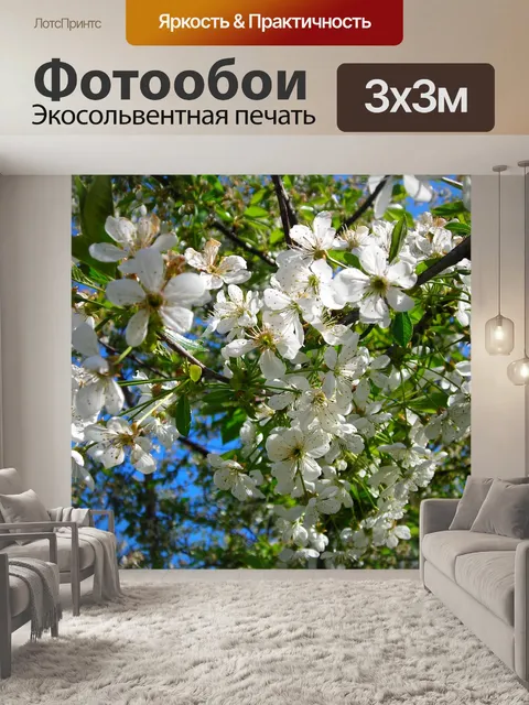 Фотообои Цветы