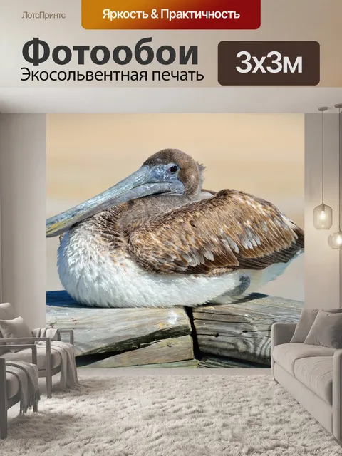 Фотообои Пеликан Отдых