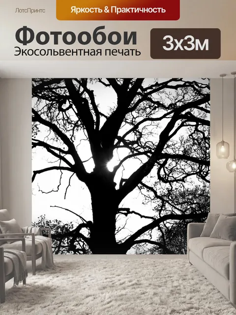 Фотообои Деревья без листьев