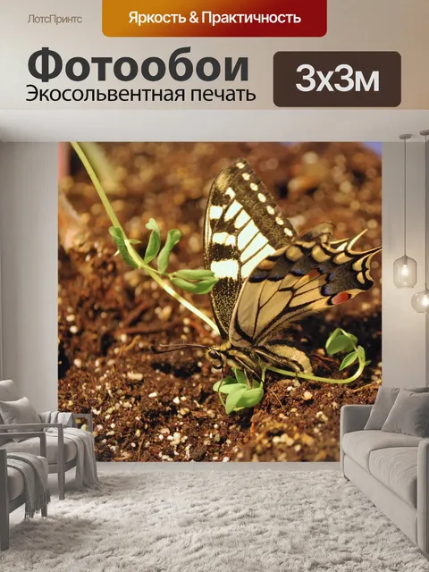 Фотообои Парусники бабочки