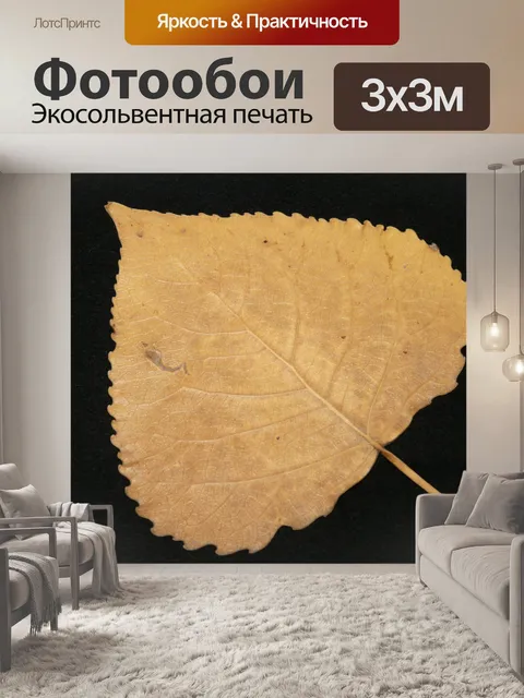 Фотообои Лист тополя