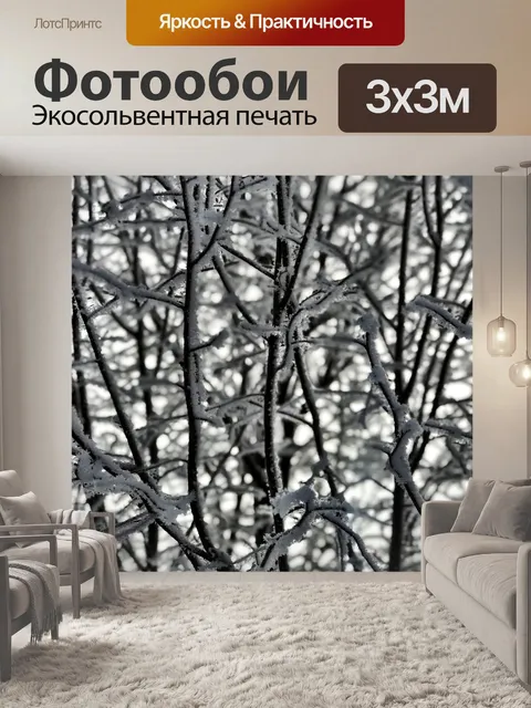 Фотообои Иней