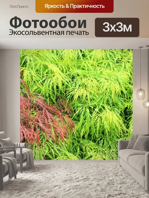 Фотообои Растения