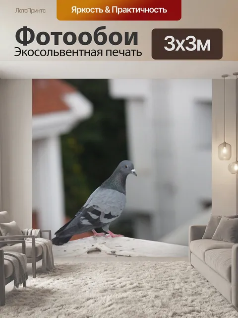 Фотообои Птица