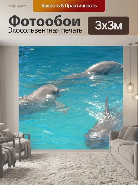Фотообои Дельфин