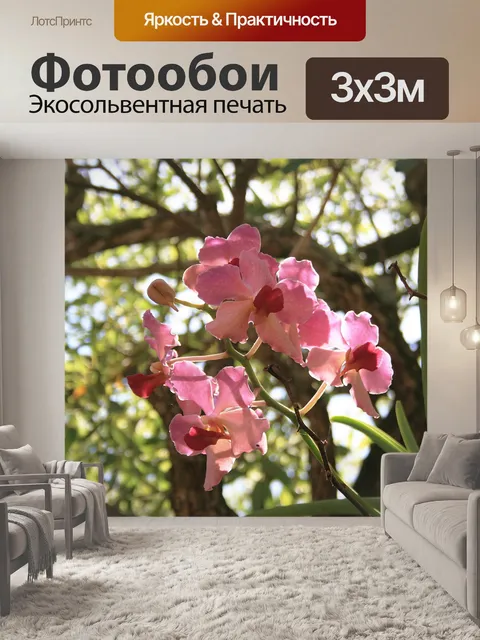 Фотообои лакомство розовые орхидеи