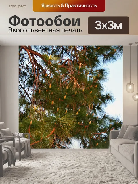 Фотообои цветения сосны