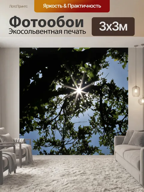Фотообои Солнечные лучи сквозь деревья