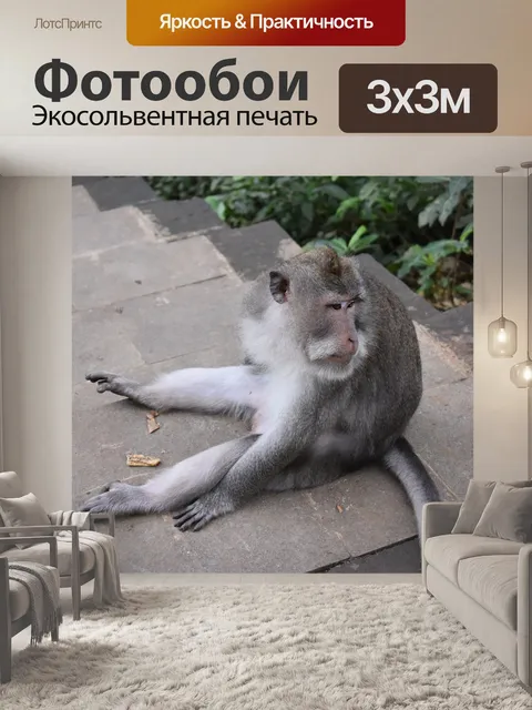 Фотообои Лес обезьян