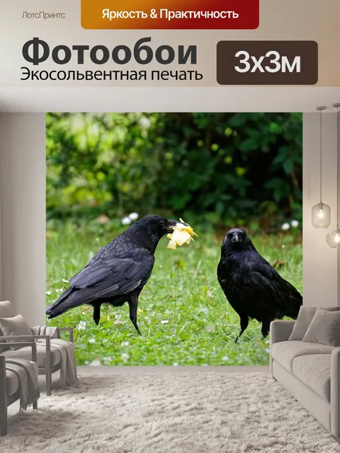 Фотообои Ворона