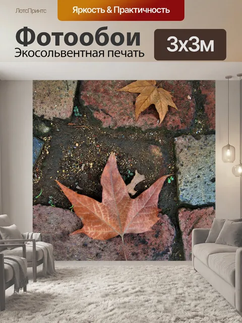 Фотообои упал самолет дерева лист