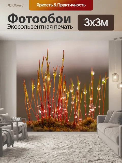 Фотообои Мох