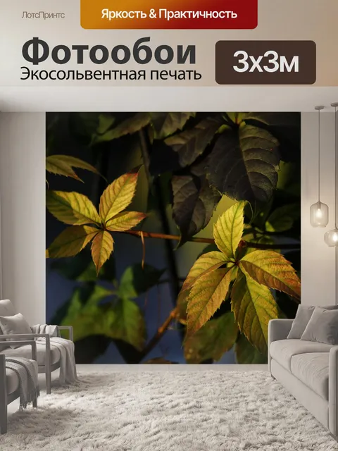 Фотообои Листья