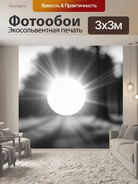 Фотообои с солнцем чернобелый