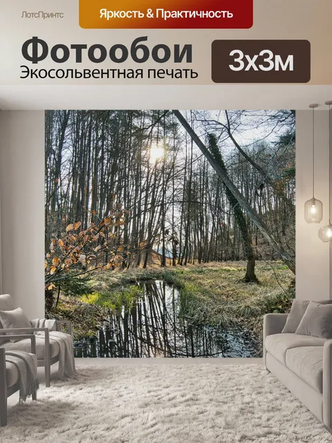 Фотообои Лес