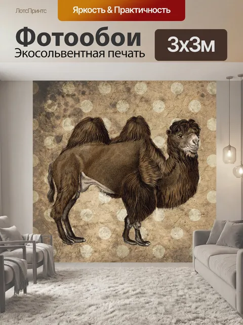 Фотообои Винтажный верблюжий плакат