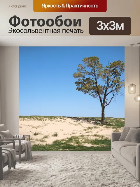 Фотообои Чикаго