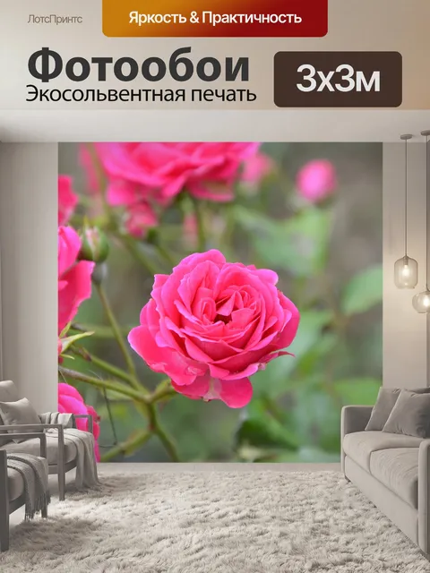 Фотообои Розы